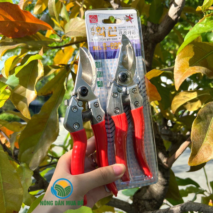 Kéo cắt tỉa cành cây S-880 Hàn Quốc, tỉa bonsai lưỡi cắt siêu sắc, độ bền vượt trội