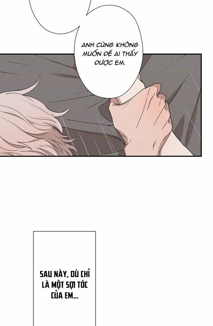 trốn tìm chapter 23 37