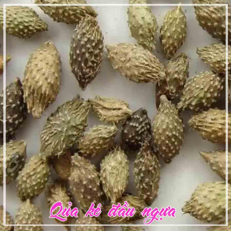 Quả Ké Đầu Ngựa khô đóng gói 1kg