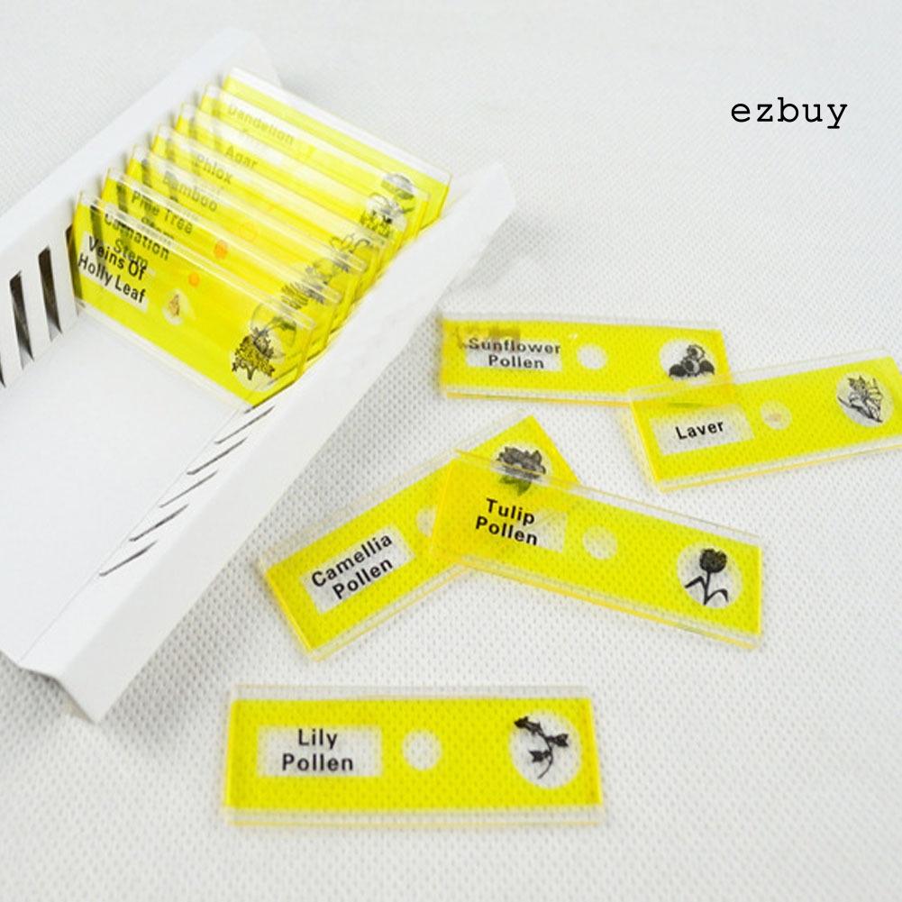 EY-12Pcs DIY Specimen Microscope Slides Children Biology Scientific Educational Toy