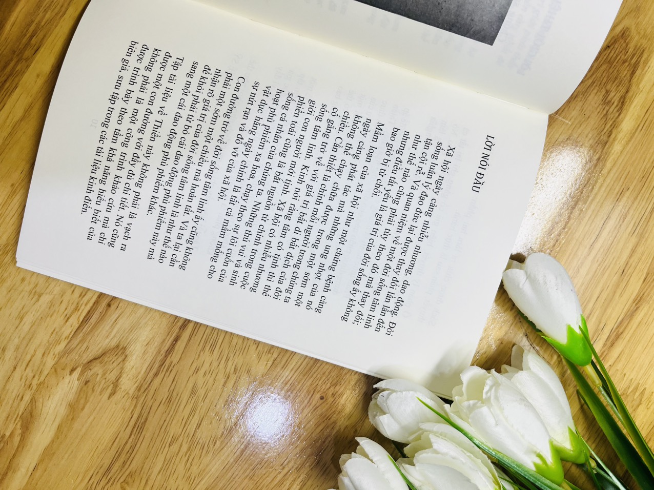 Đại Cương Thiền Quán -Tuệ Sỹ
