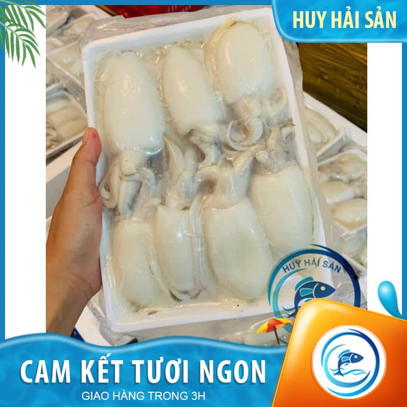 Mực bầu baby 14-20 - Khay 500g