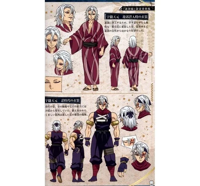 Demon Slayer: Kimetsu no Yaiba (TV Anime) Official Character's Book 5 (Japanese Edition)