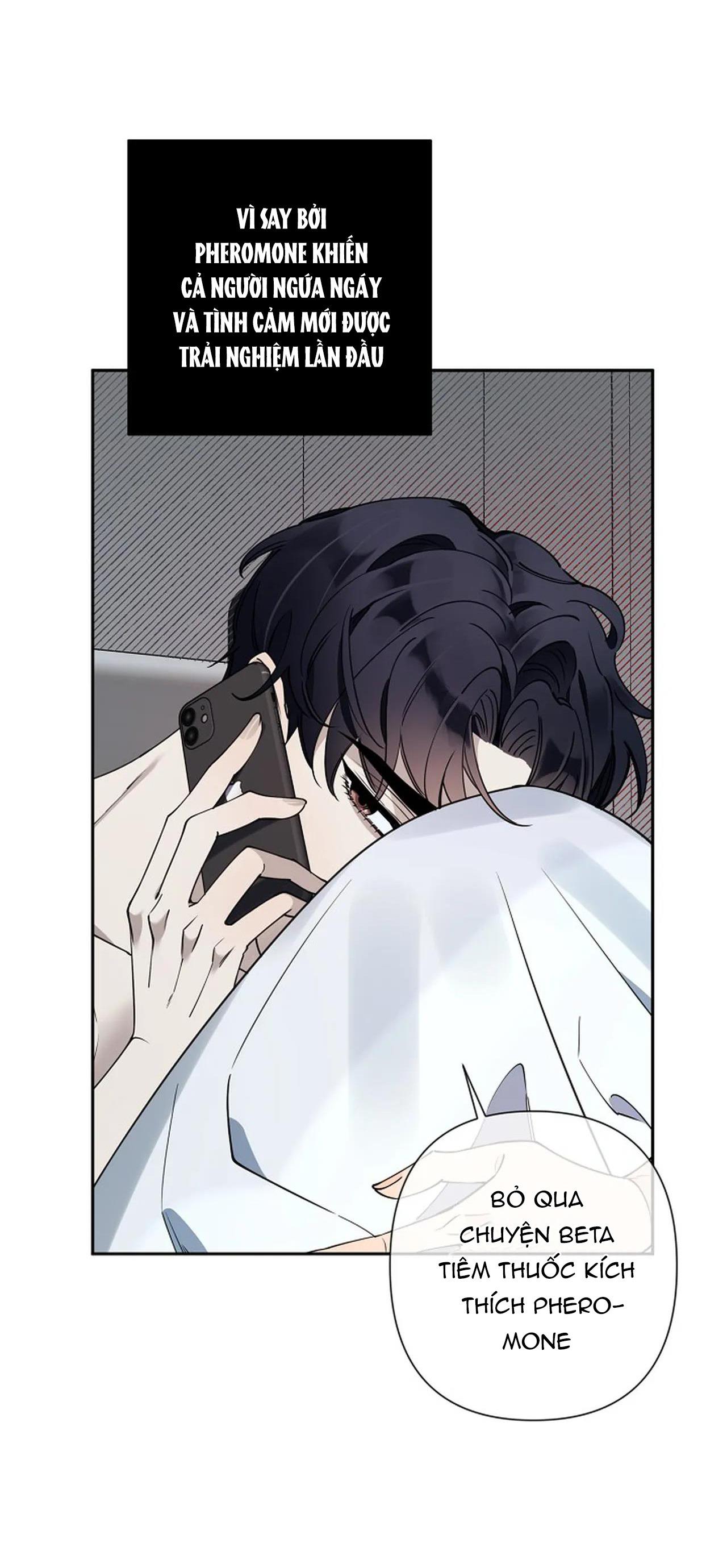 đêm dịu dàng chapter 16 26