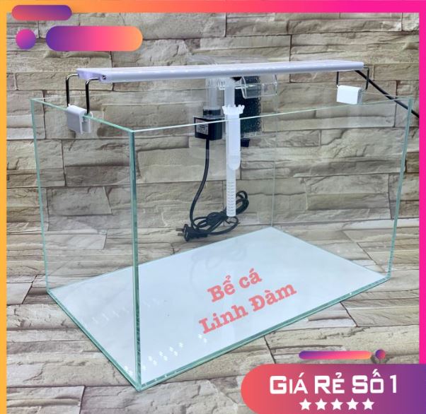 Bể Cá 40cm  Kính Siêu Trong 5 Mặt , dán giấu keo, mài vi tính- Bể Cá Cảnh Thủy Sinh