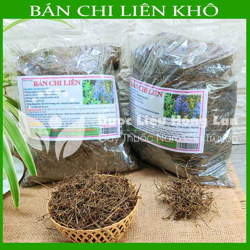 Cây BÁN CHI LIÊN khô đóng gói 500g - Hàng Công ty loại 1
