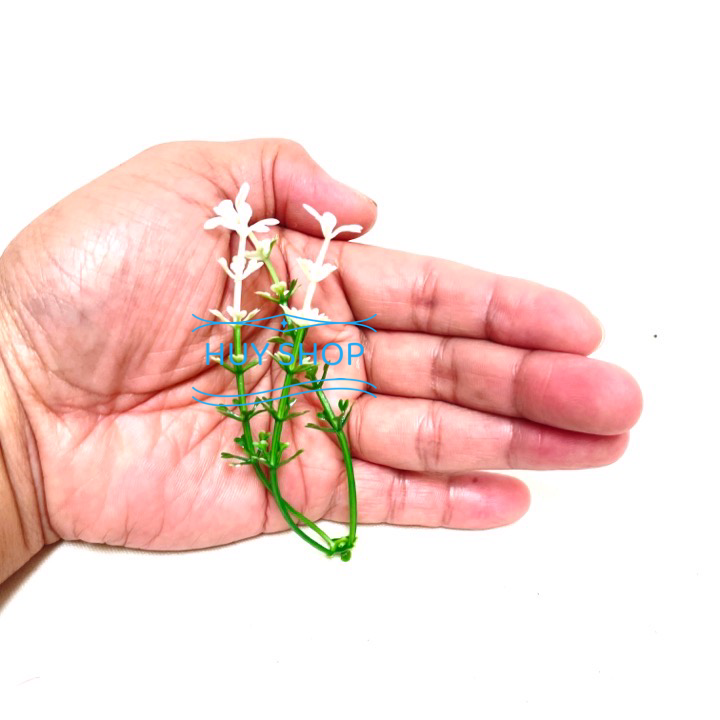 CỎ ĐIỂM  100Gram Hoa Cỏ nhân tạo decor background trang trí nhà cửa