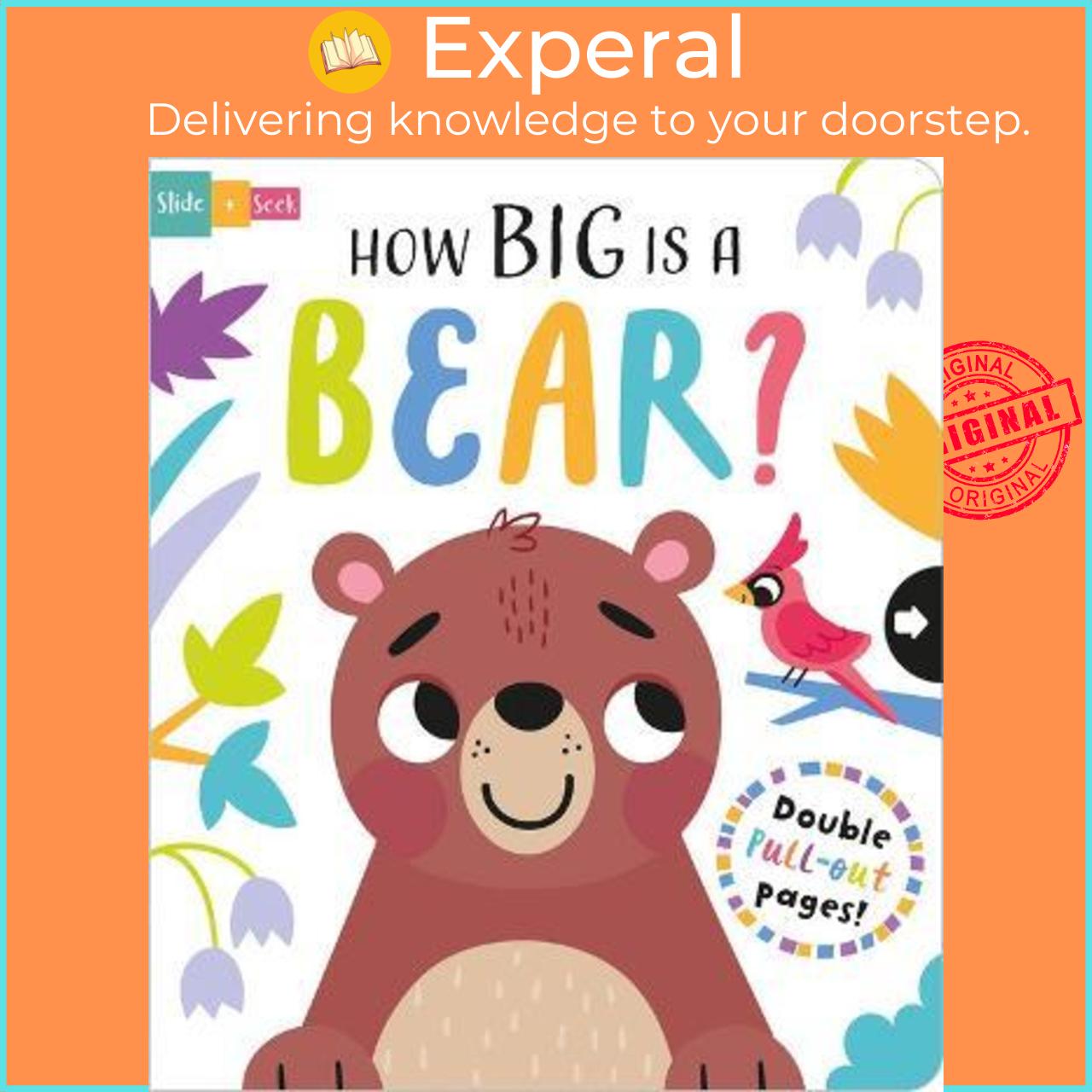 Sách - How Big is a Bear? by Lisa Regan