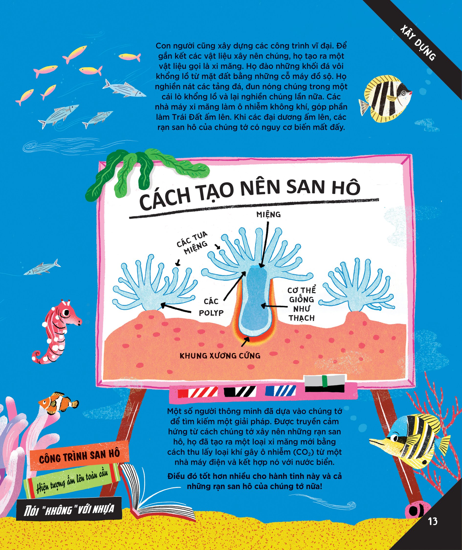 Động Vật Có Tầm Ảnh Hưởng - Hạng Mục: Xây Dựng - Nguồn Cảm Hứng Cho Những Công Trình Kiến Trúc Của Loài Người _DTI