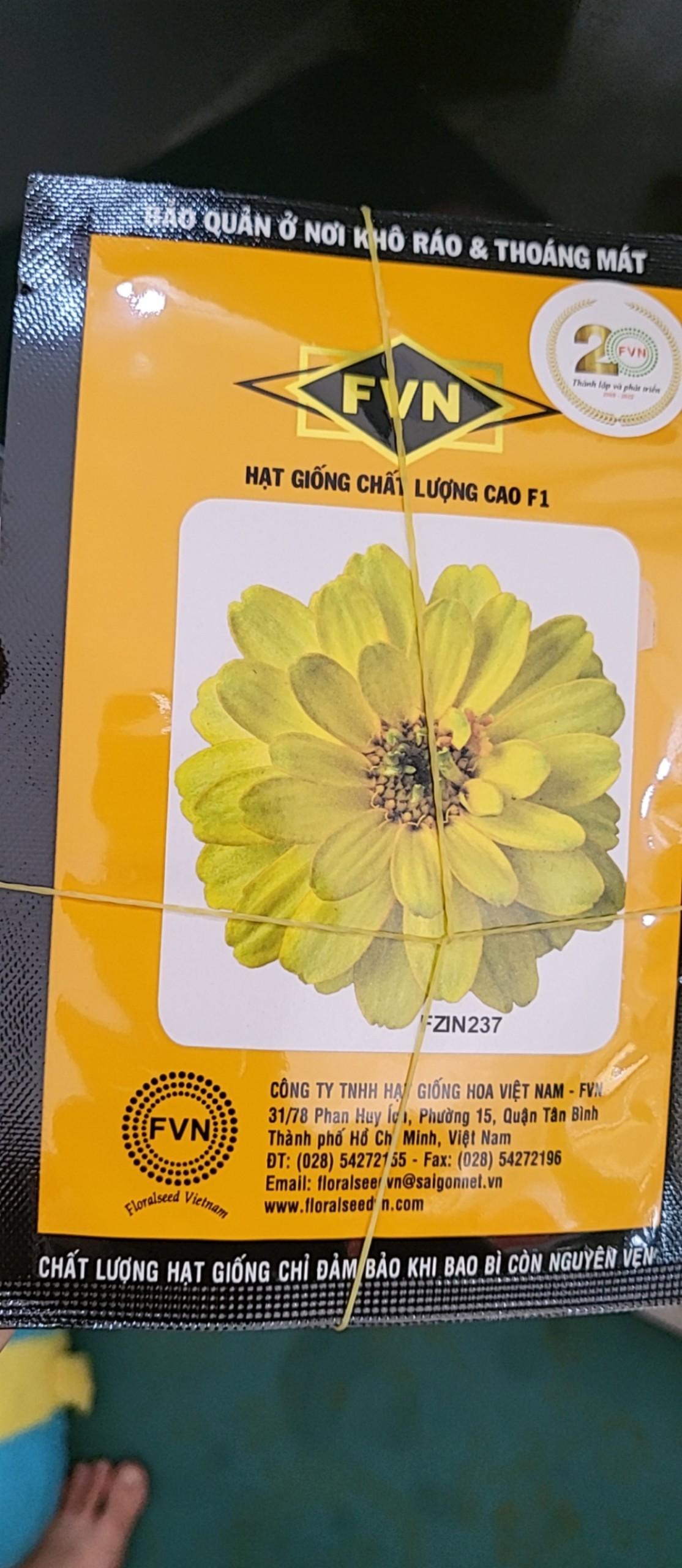 Hạt giống cúc lá nhám kép ZINNIA FVN FZIN237 Double Profusion Yellow gói 20 hạt