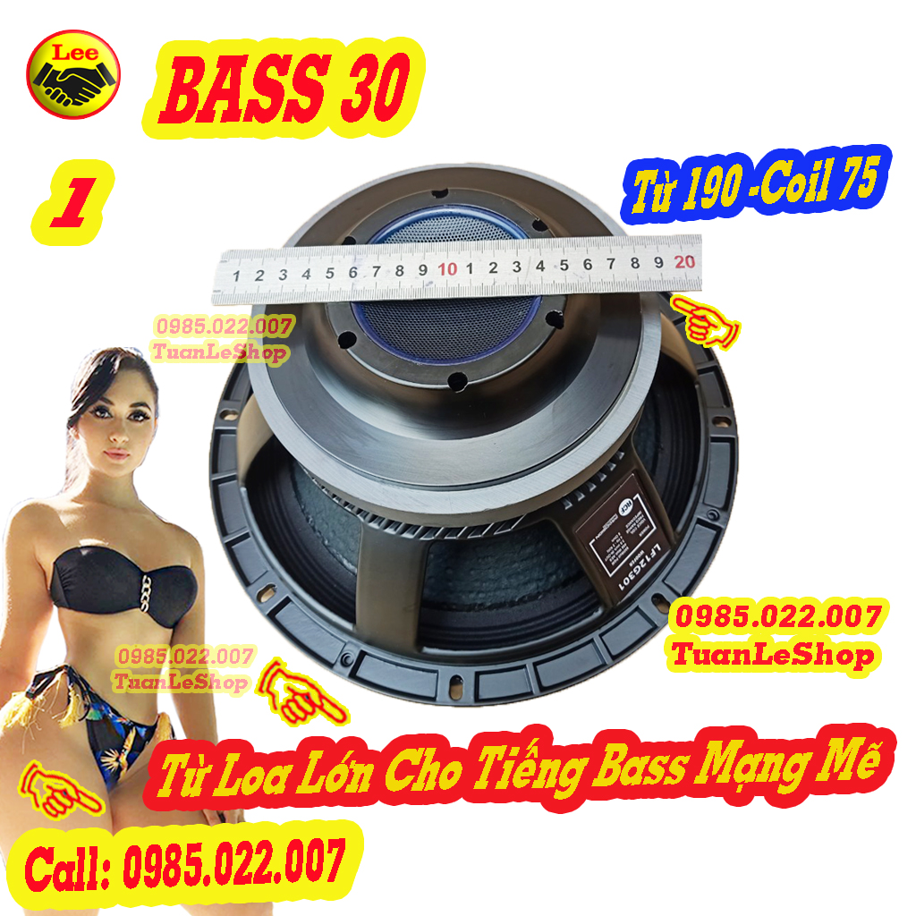 1 CỦ BASS 30 CÔN 75  NHẬP KHẨU - GIÁ 01 CHIẾC - TỪ 190 COIL 75MM - CỦ LOA 3 TẤC - Đít Lồi