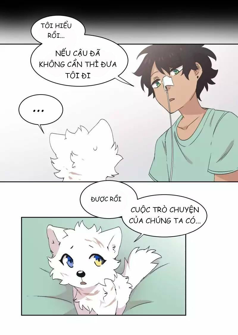 lumine - cội nguồn ánh sáng chapter 32 18