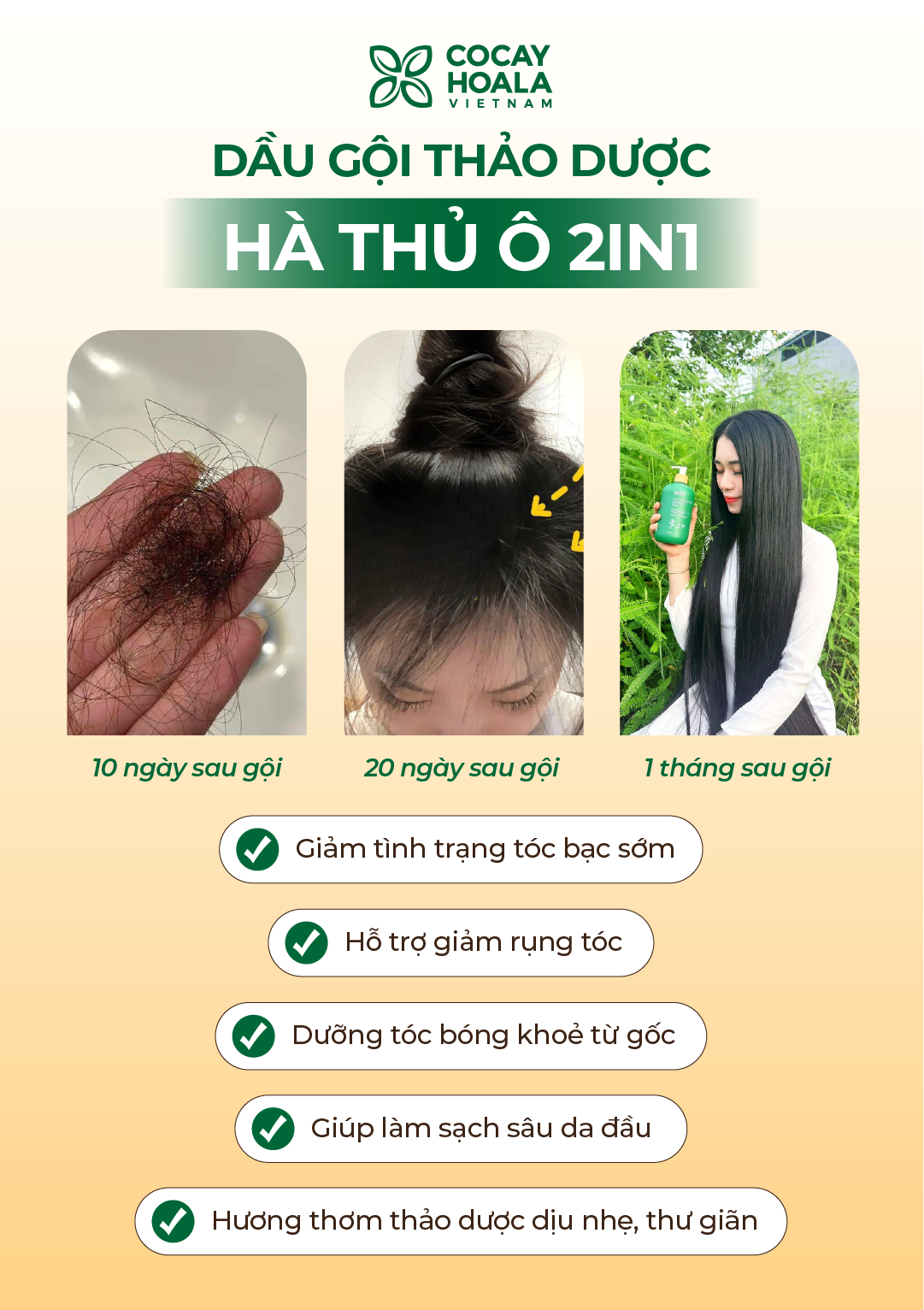 Dầu Gội Xả 2in1 Hà Thủ Ô Cỏ Cây Hoa Lá VIETNAM - Dưỡng Tóc Đen Mượt, Bóng Khỏe, Dung tích 420g/chai