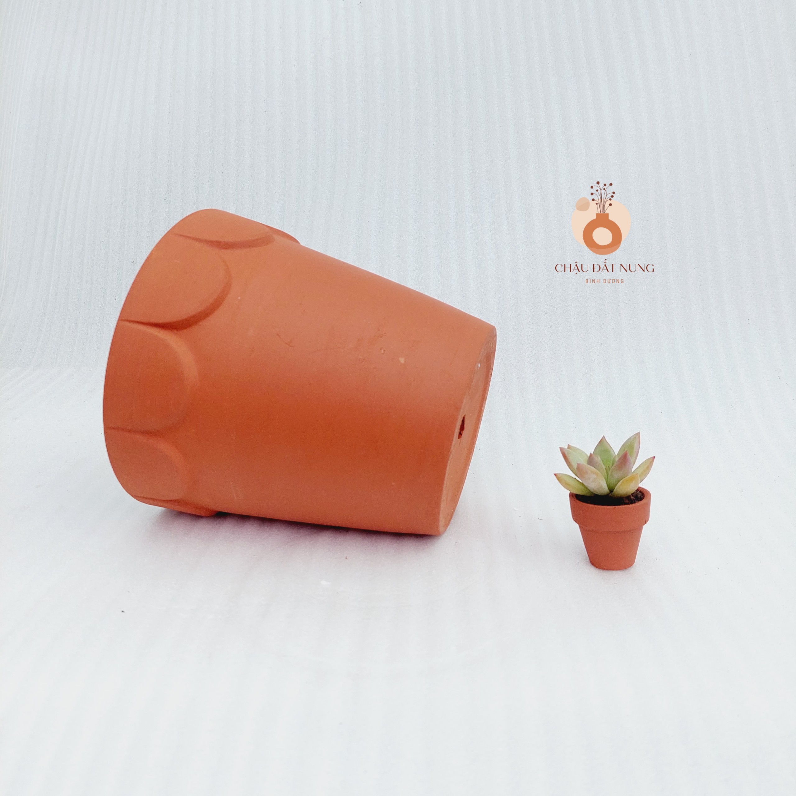 Chậu đất nung - Ly gờ hoa, miệng chậu 16cm, chiều cao 16cm