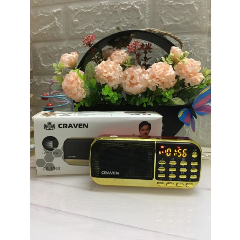 ĐÀI Nghe Pháp, Niệm Phật,Tụng Kinh Phật, Đài FM Craven CR 836S+thẻ nhớ nhạc phật 8G-Hàng Chính Hãng