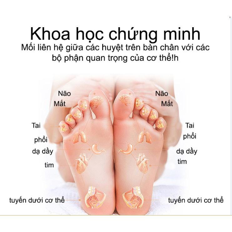 Bồn Ngâm Chân Không Tự Động - Massage Thư Giãn