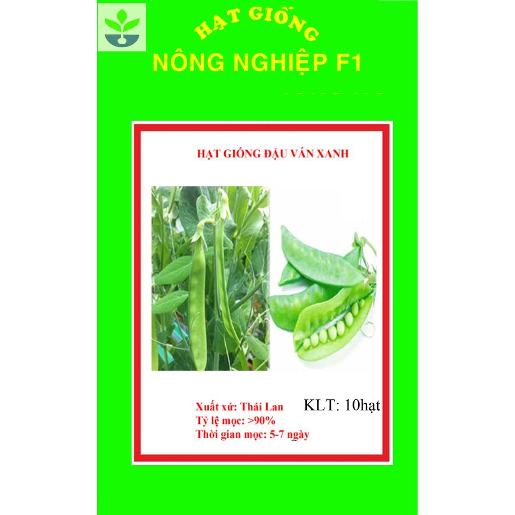Gói 10 hạt giống đậu ván xanh