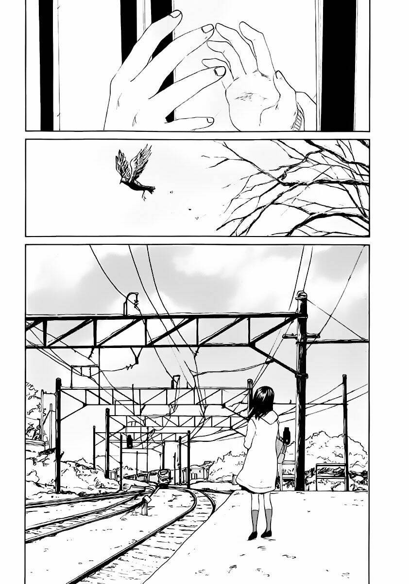 5 centimet trên giây chapter 3 44