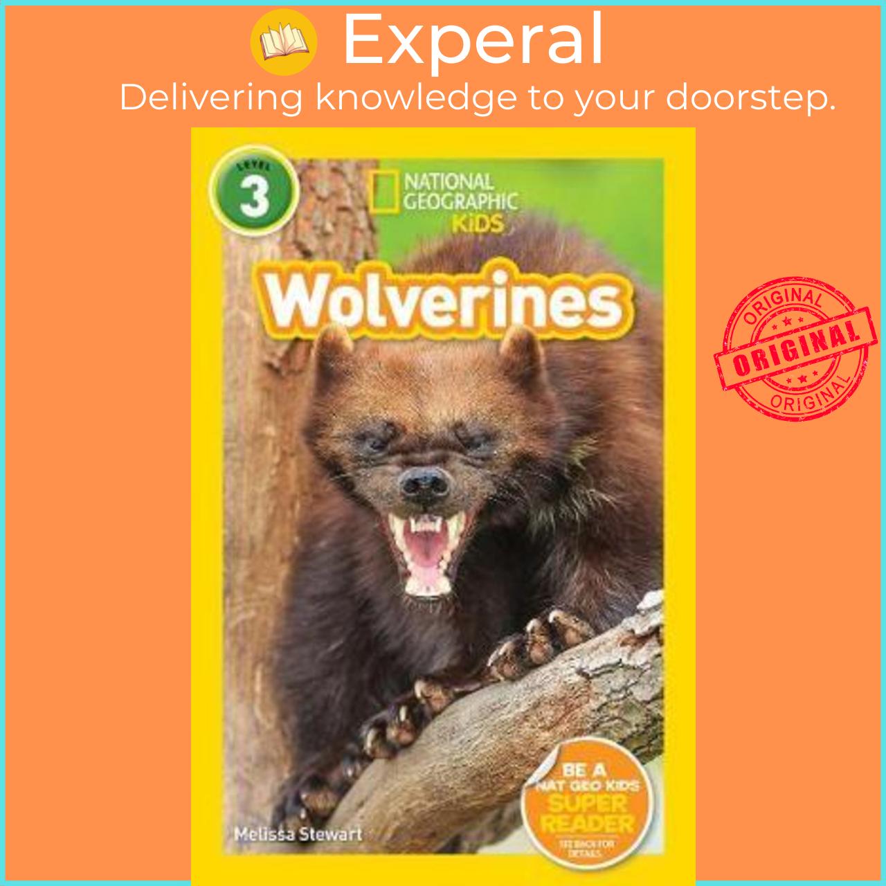 Sách - National Geographic Kids Readers: Wolverines by National Geographic Kids Melissa Stewart