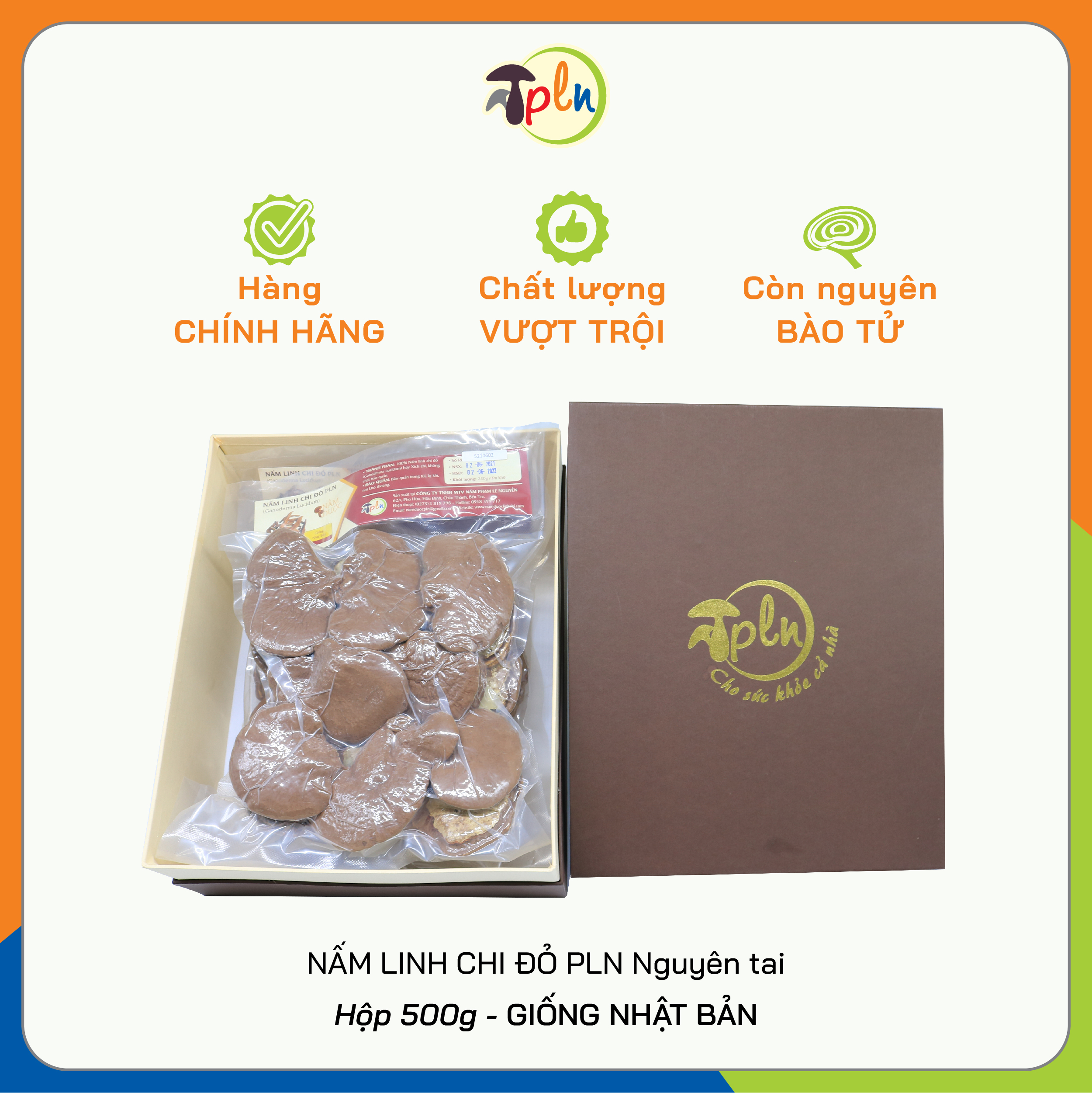 NẤM LINH CHI ĐỎ PLN - Nguyên tai. Hộp 500g - Giống Nhật Bản