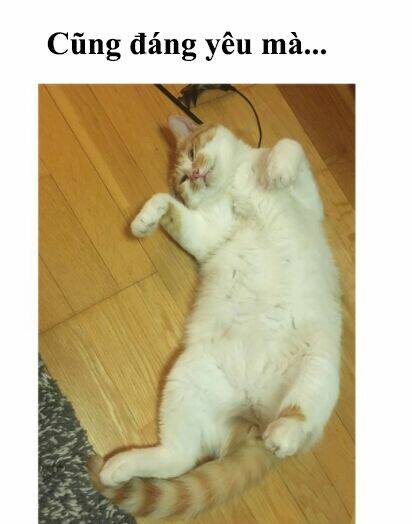 đại thánh và tiểu yêu chapter 71 15