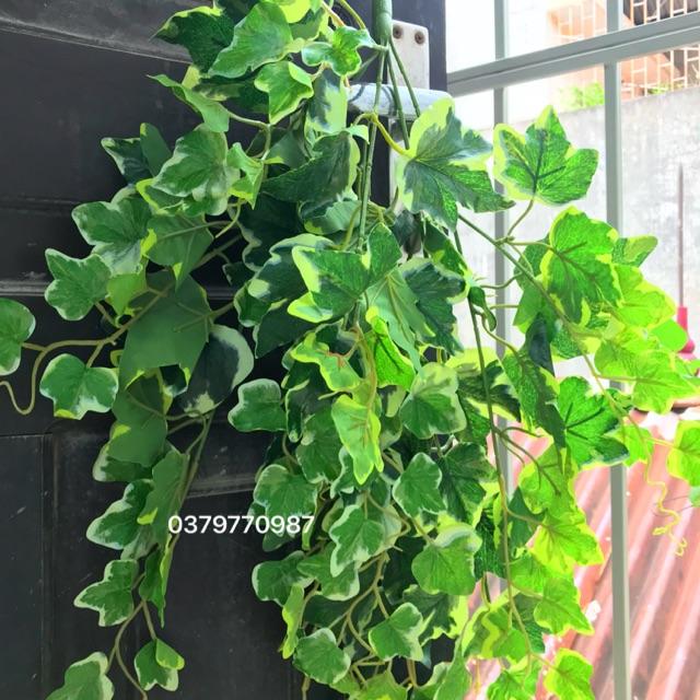 Cây giả - cụm nguyệt quế rủ