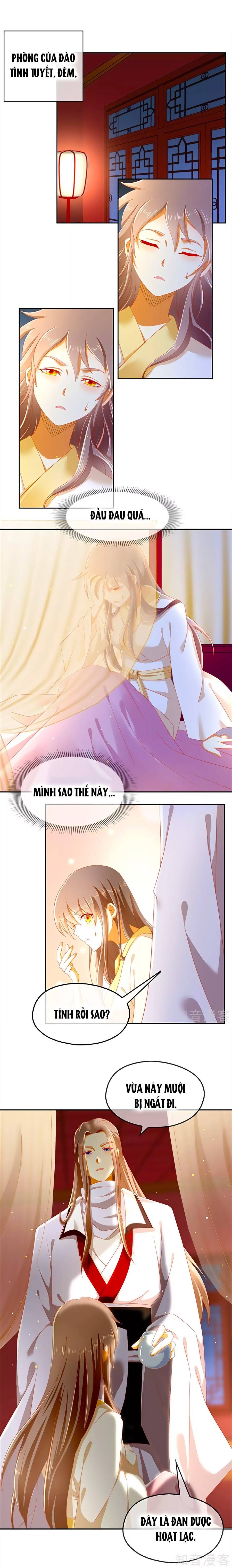 Khuynh Thành Cuồng Phi Của Tà Vương chapter 55 - Trang 2