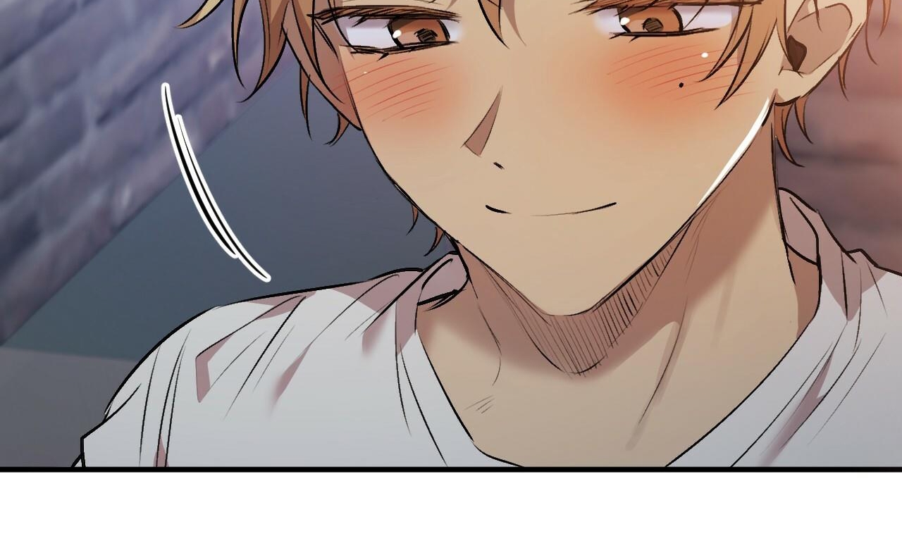 đàn thỏ của habibi chapter 41 113