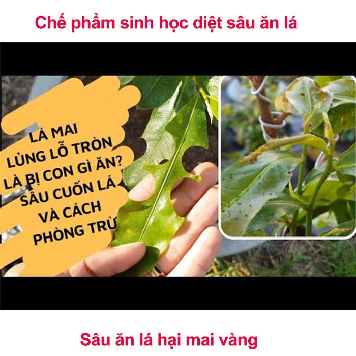 Diệt sâu ăn lá cho cây hoa mai vàng, hoa hồng, cây sứ và các loại hoa cây cảnh khác Sói.xám 15g