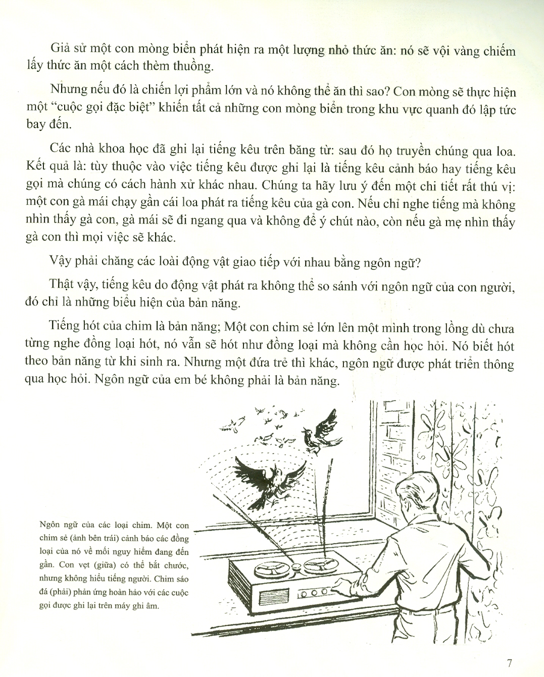 LỊCH SỬ HÌNH THÀNH VÀ PHÁT TRIỂN NGÔN NGỮ - Frankin Folsom - Phạm Thị Bích Lệ dịch - Truongphuongbooks