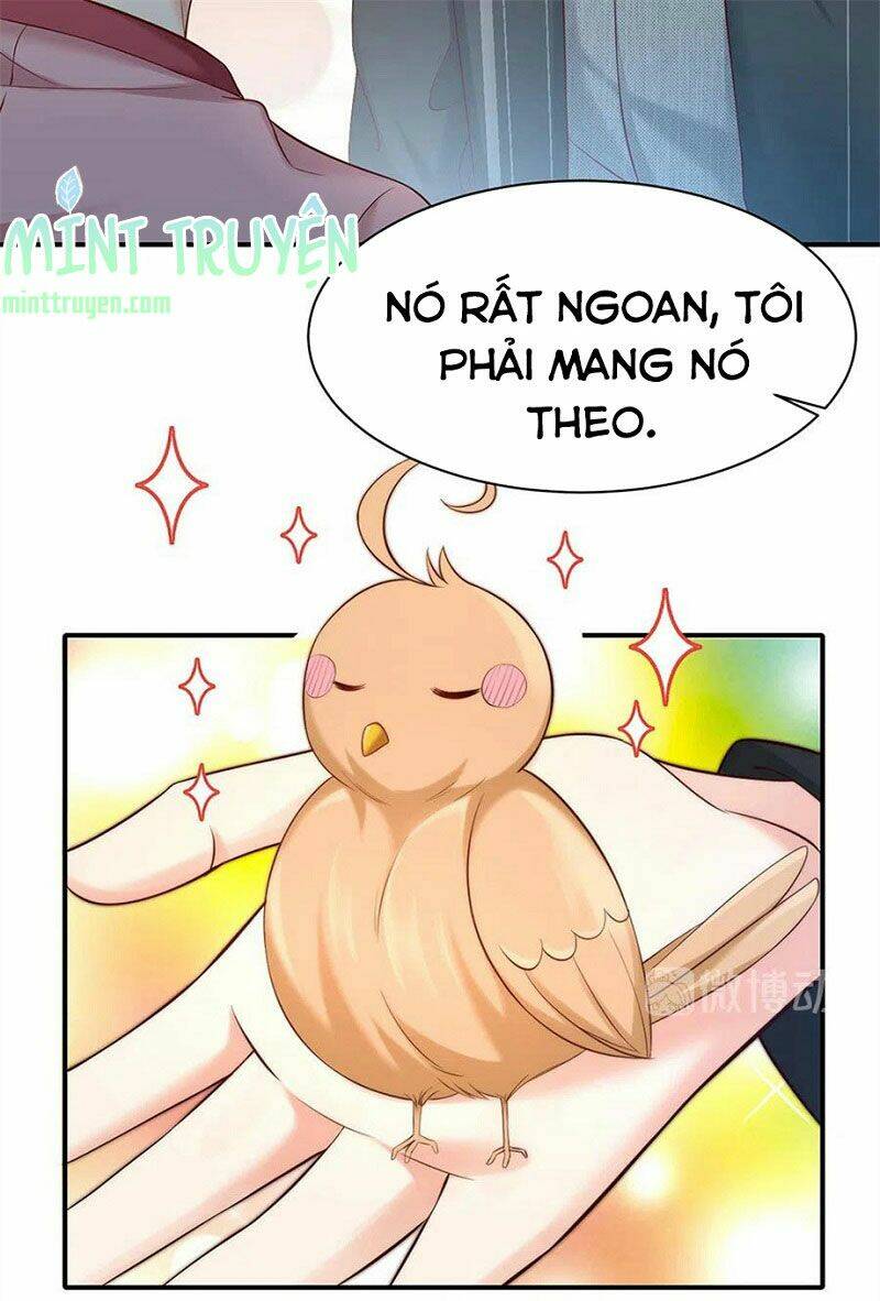 nam thần truy thê chỉ nam chapter 110.2 13