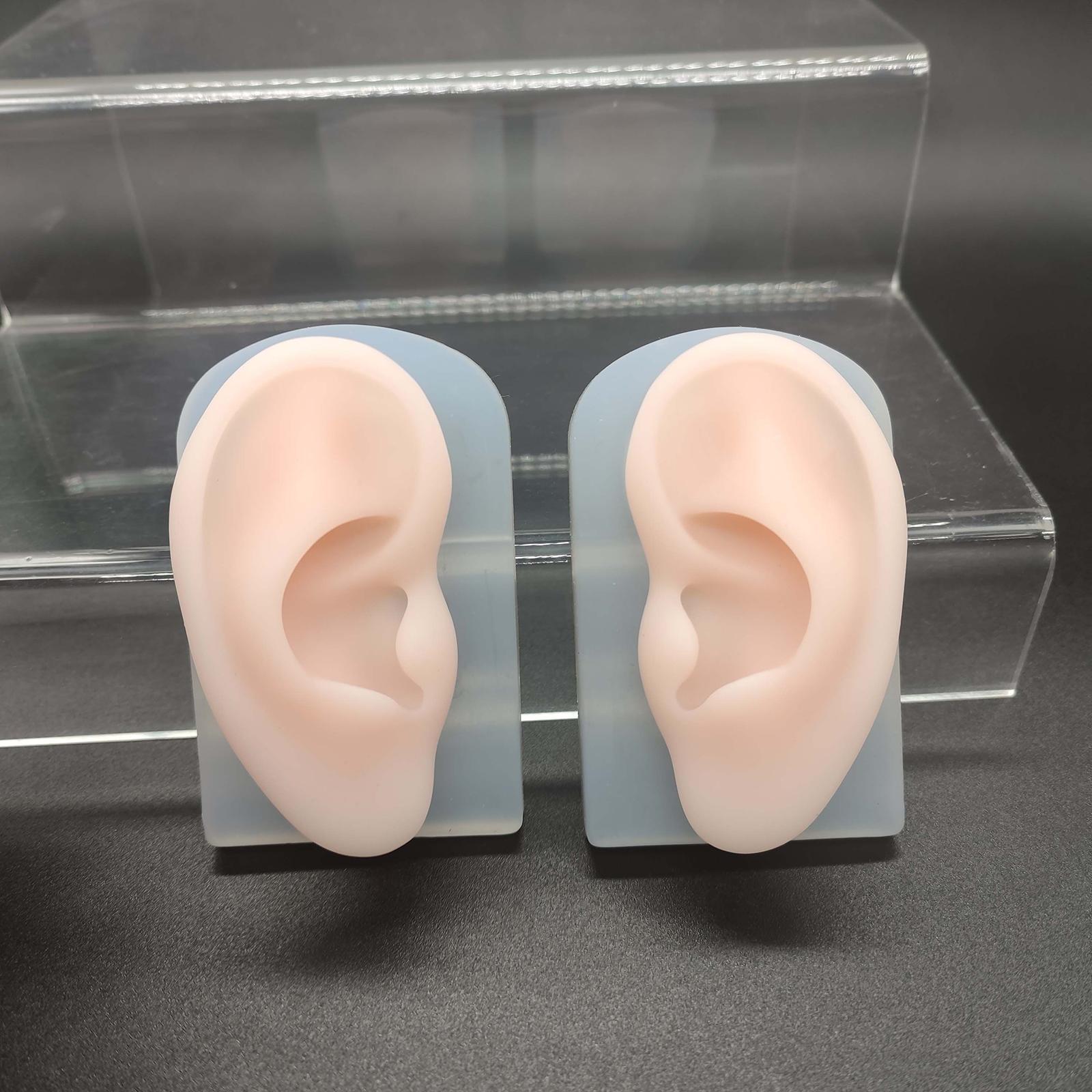 2Pcs Human Body Part Model Flexible Mold for Piercing Exercises Ears