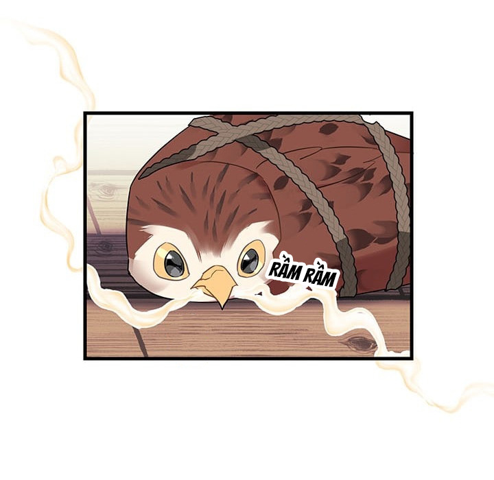 công chúa của loài chim chapter 4 52