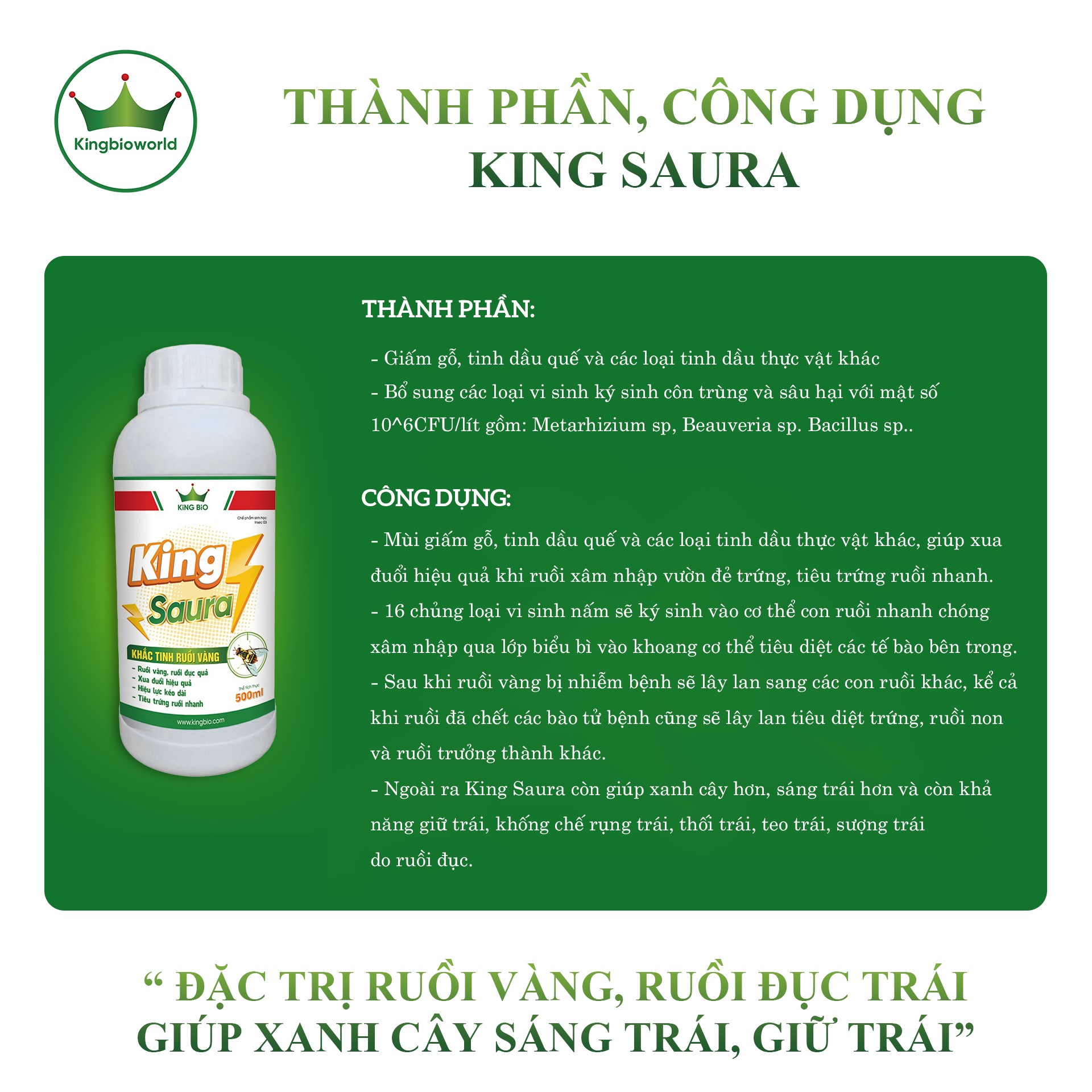 King Saura - xua đuổi, tiêu diệt ruồi vàng, giúp xanh cây sáng trái, giữ trái chống rụng trái
