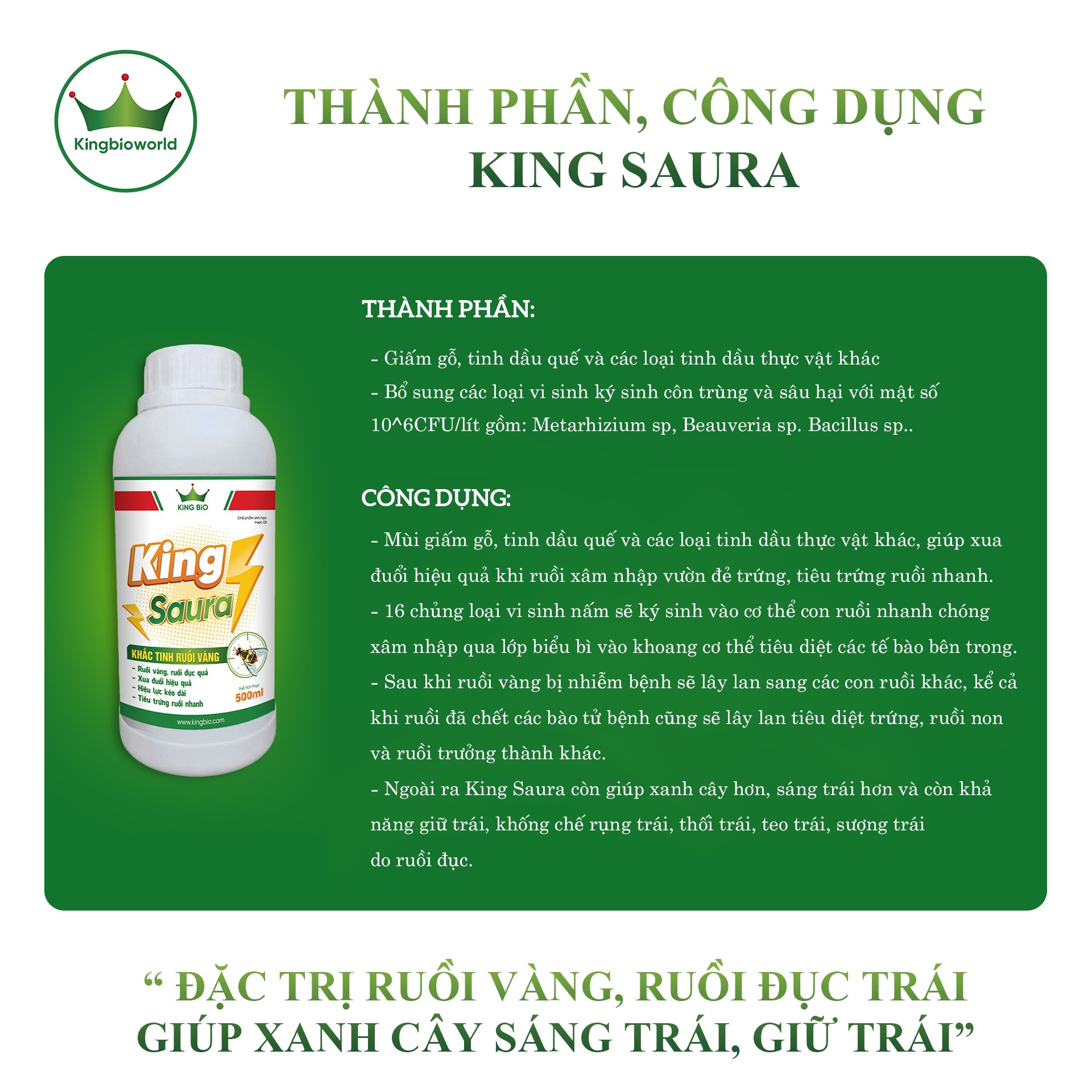 Hình ảnh King Saura - xua đuổi, tiêu diệt ruồi vàng, giúp xanh cây sáng trái, giữ trái chống rụng trái