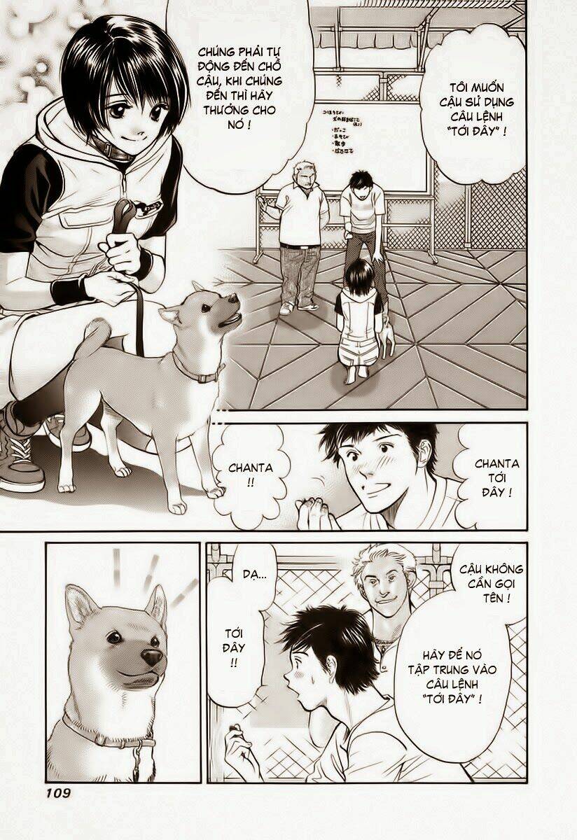 cô nàng yêu chó chapter 36 11