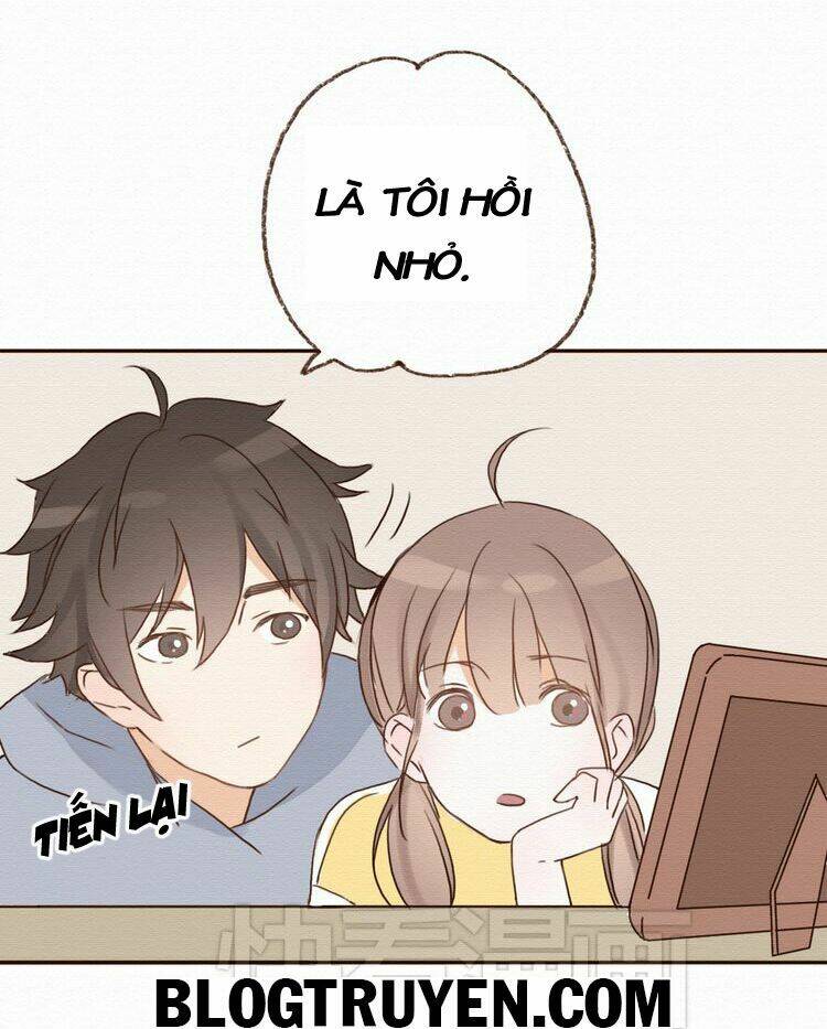 tình yêu không nói dối chapter 15 19