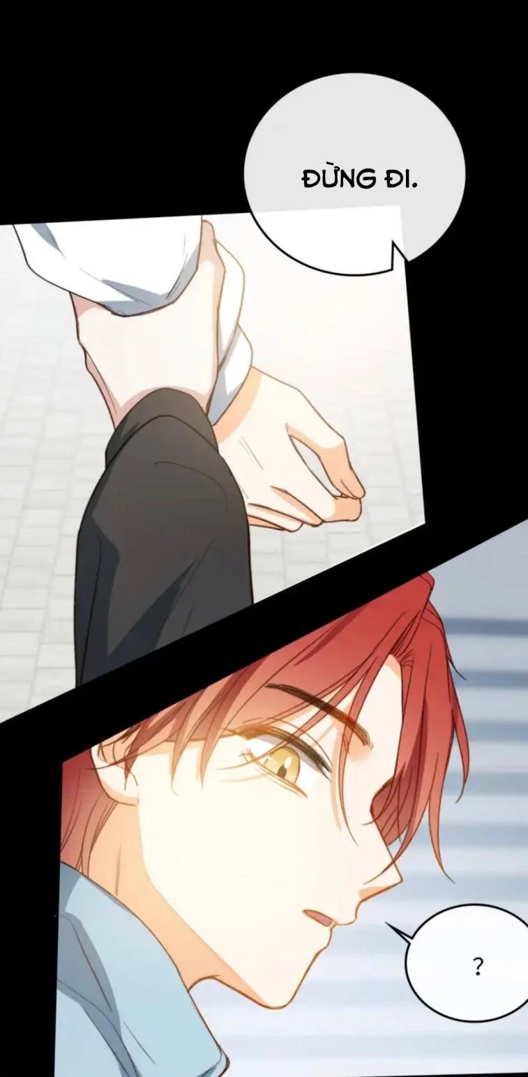 nụ hôn vực thẳm chapter 104 27