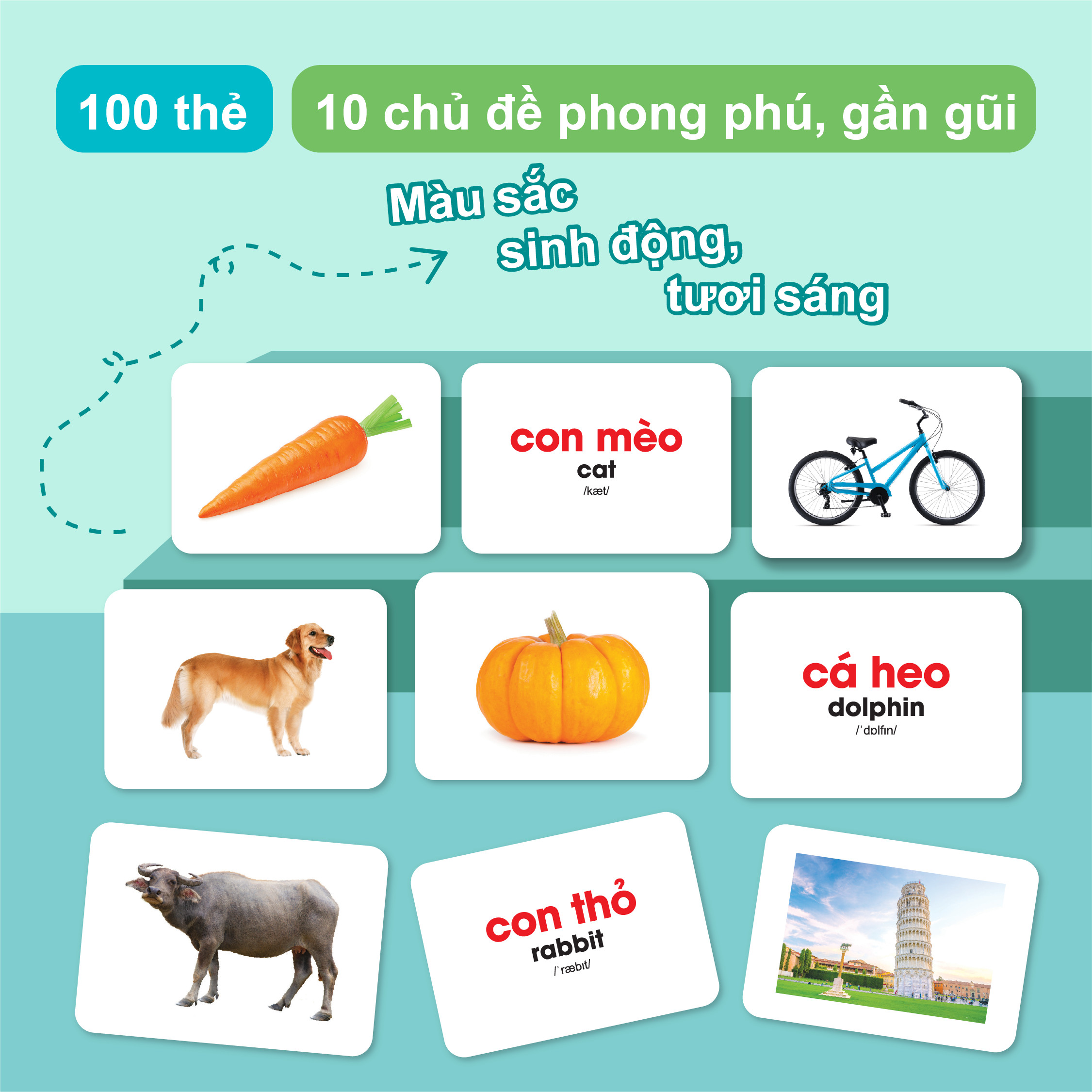 Flashcard cho bé - Bộ 100 thẻ học thông minh Glenn Doman Thế Giới Xung Quanh - Song ngữ (0 - 6 tuổi)