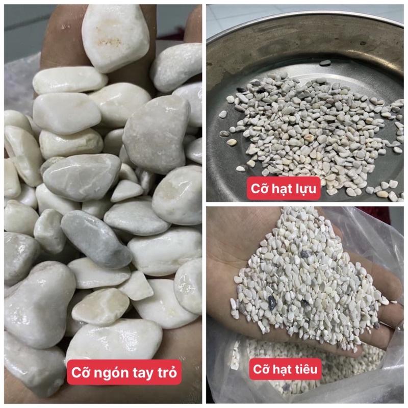 Sỏi Trắng Sữa Tự Nhiên - Trang Trí Bể Cá, Trang Trí Sân Vườn túi 1kg