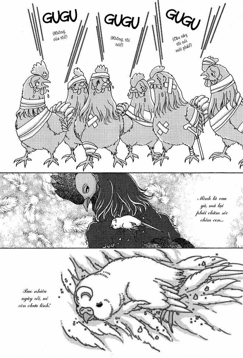 bird of youth chapter 6 23