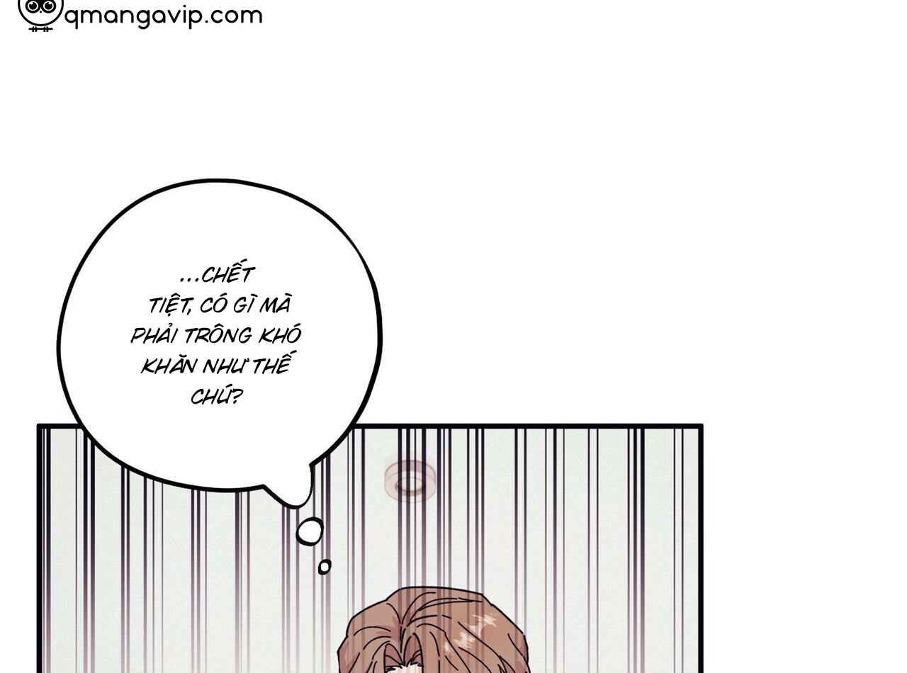 chàng dâu nhà họ kang chapter 44 88