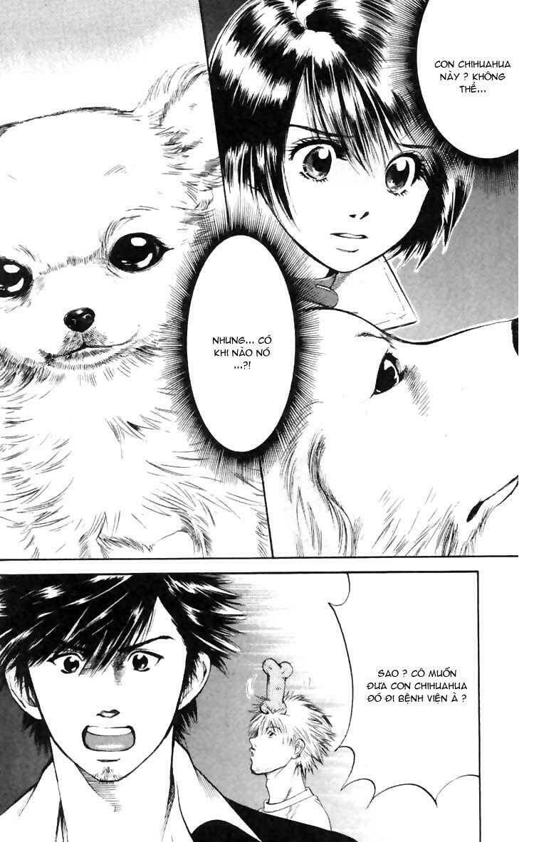 cô nàng yêu chó chapter 5 20