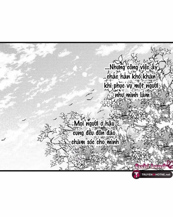 điểu thượng minh hoa chapter 6.1 3