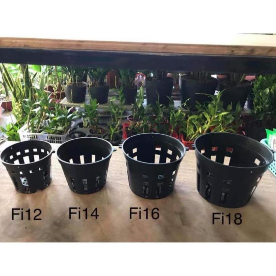 Chậu trồng lan đen phi 25cm