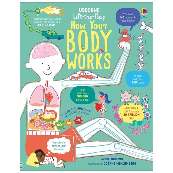 Sách ngoại văn: Lift-the-flap How Your Body Works