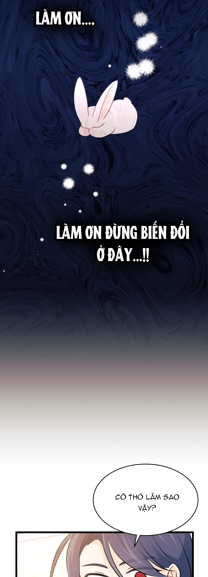 mối liên kết giữa báo đen và bé thỏ chapter 27 43