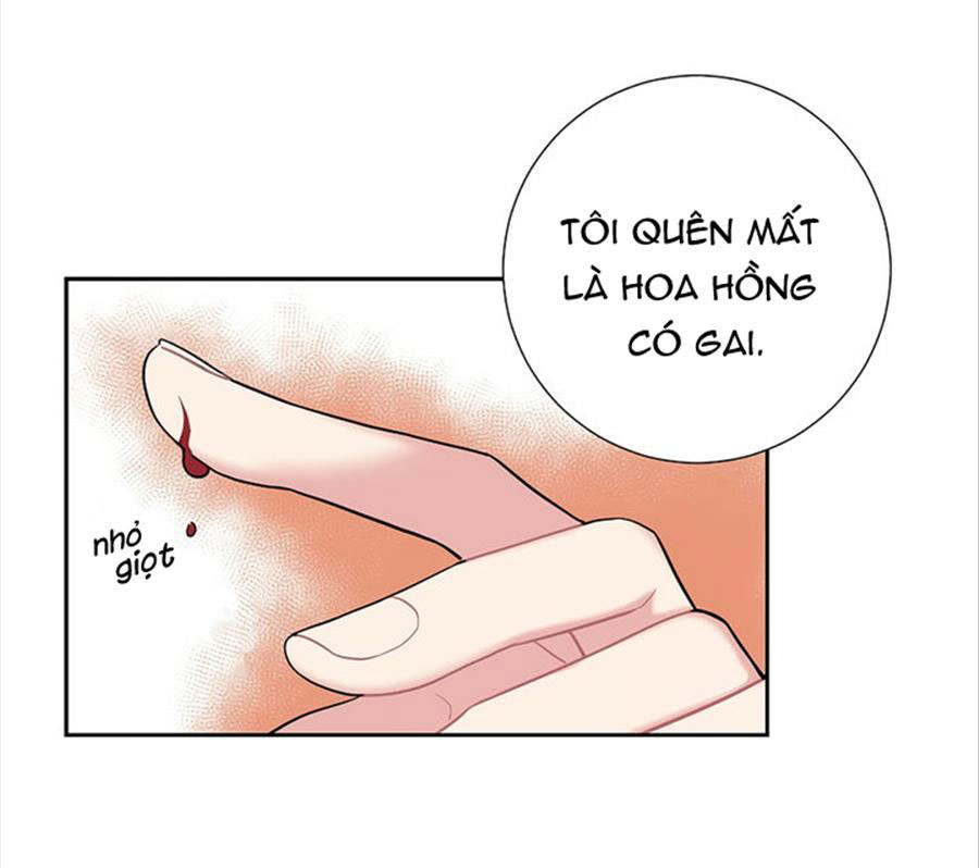 cô chủ và người hầu chapter 21 10