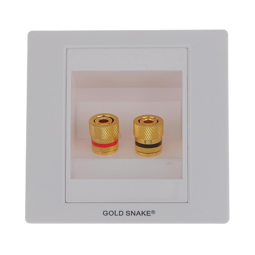 White Gold  2 Binding Post Audio  Stereo Wall Plate Panel Connector