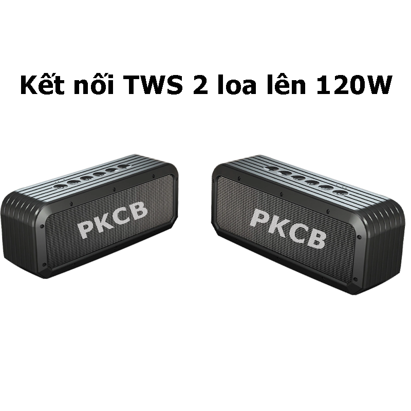 Loa Bluetooth 60W công suất lớn Super Bass chống nước IPX5 pin 6600MAH sạc nhanh Type C Chip DSP cao cấp Hàng Chính Hãng PKCB